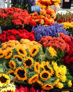 Outdoor fresh colorful