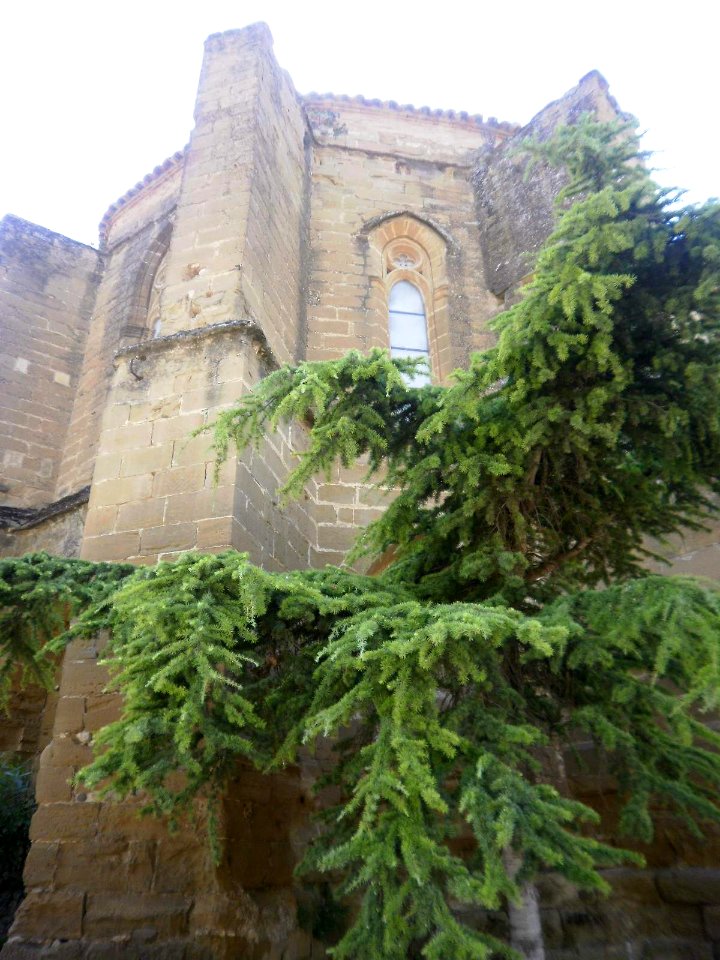 Huesca - Monasterio de la Encarnación (Miguelas) 21