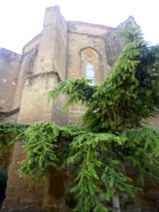 Huesca - Monasterio de la Encarnación (Miguelas) 21
