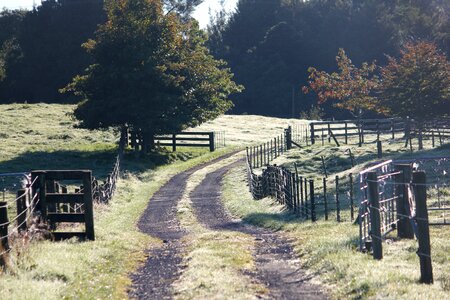 Track outdoors new zealand photo