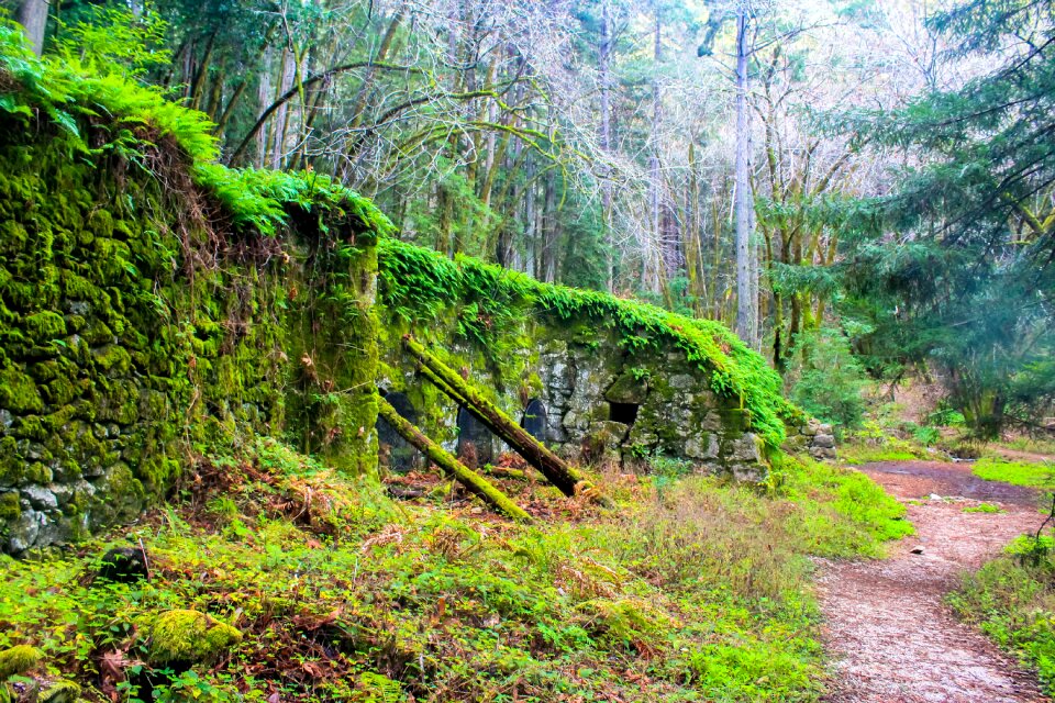 Nature park landscape
