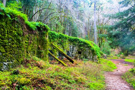 Nature park landscape