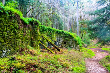 Nature park landscape photo