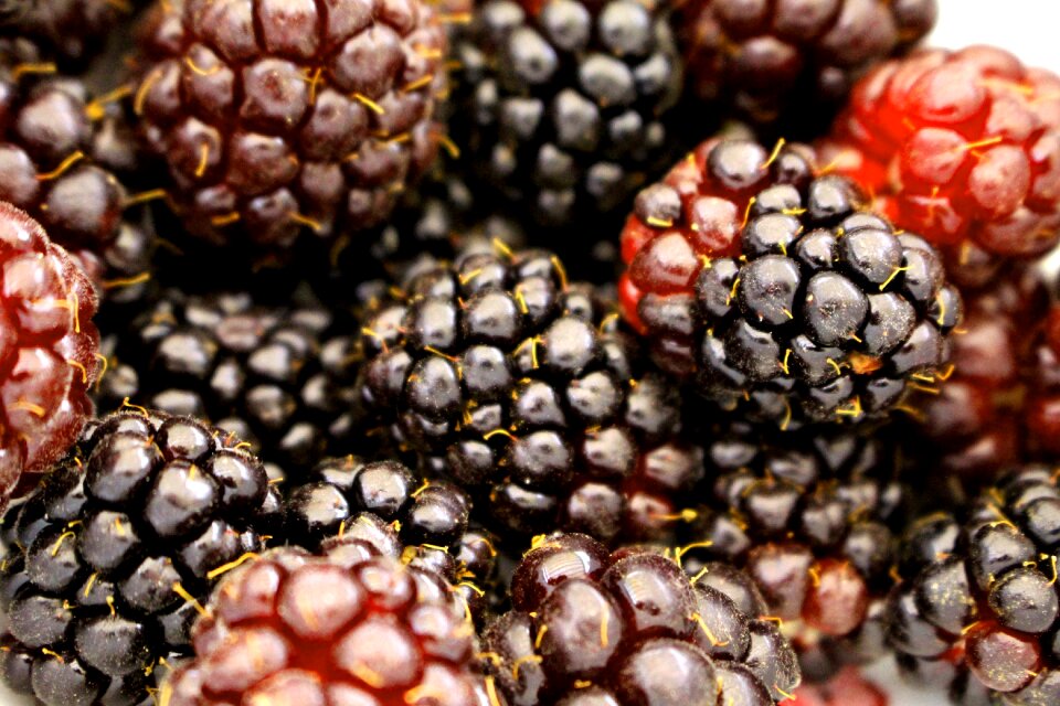 Food fruit fresh