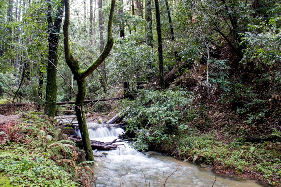 Nature park landscape photo