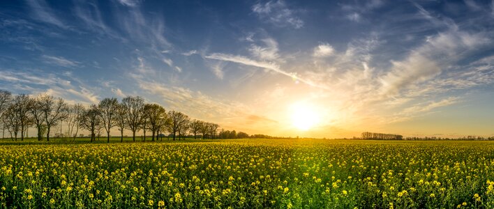 Landscape panorama rare plant