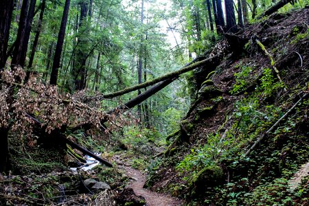 Nature park landscape