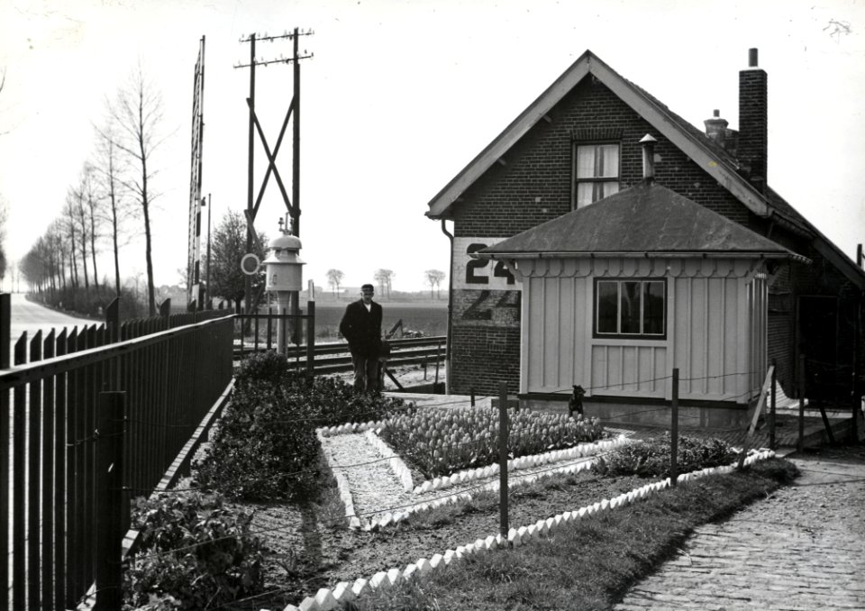 HUA-169410-Afbeelding van overwegwachter G.D. van de Broek in zijn tuin met tulpen bij de wachterswoning nr. 24a aan de Oude Rijksweg te Krabbendijke