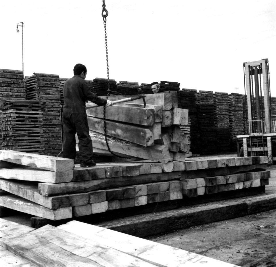 HUA-167659-Afbeelding van de overslag van hout op het terrein van het Houtbereidingsbedrijf van de N.S. (HBI) te Dordrecht
