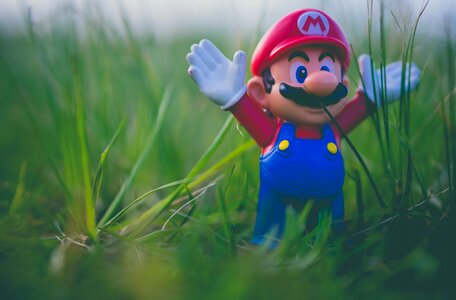 Nature toy children