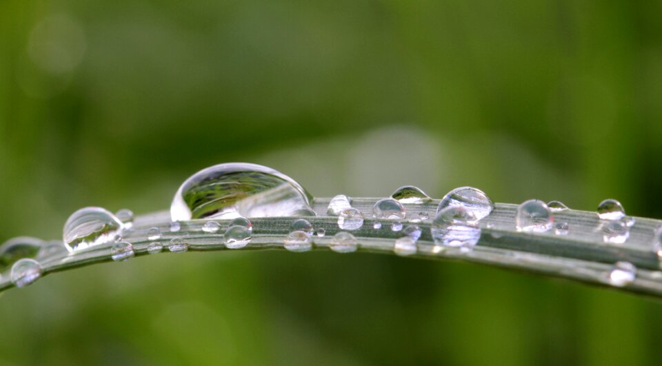 Drip wet reflection photo