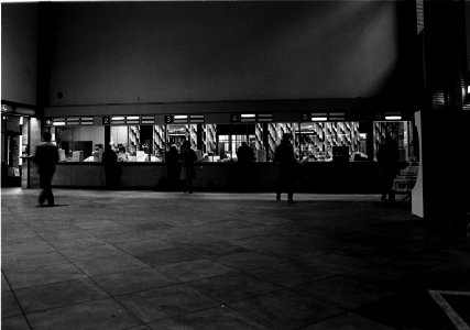 HUA-152472-Interieur van het N.S.-station Den Haag te Den Haag- hal en loketten