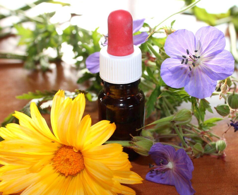 Herbal essence flower