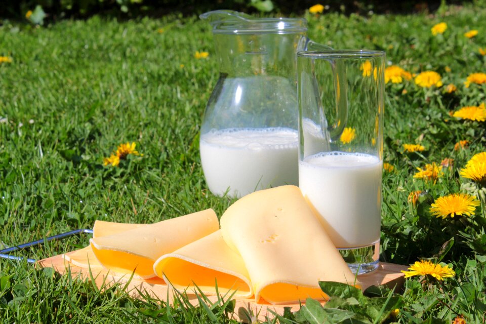 Milk products food healthy