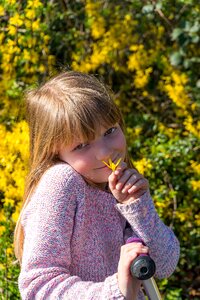 Flower blond nature