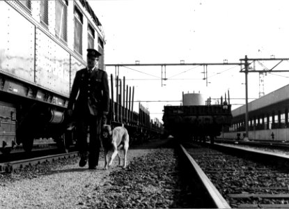 HUA-153304-Afbeelding van een spoorwegpolitiebeambte met een hond op het goederenemplacement te Utrecht
