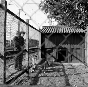 HUA-153303-Afbeelding van de hondenkennel van de spoorwegpolitie bij het N.S.-station Utrecht C.S. te Utrecht