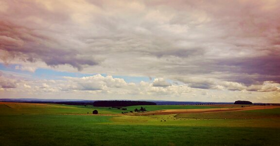 Pasture agriculture meadow