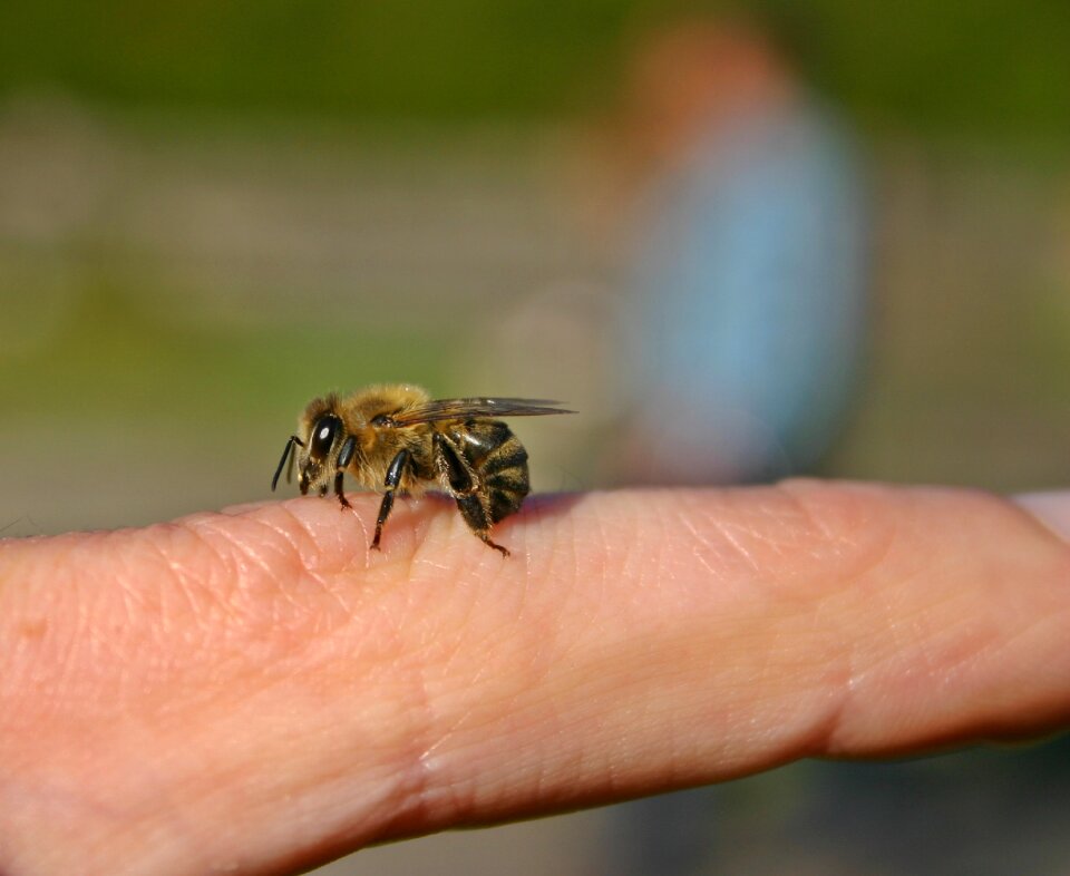 Finger hand close up