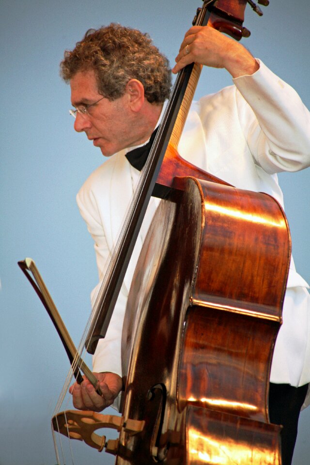 Music musician concert