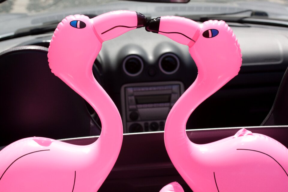 Pink romantic lovers