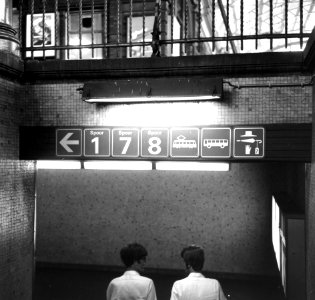 HUA-166749-Afbeelding van de pictogrammen boven één van de ingangen van de perrontunnel van het N.S.-station Den Haag H.S. te Den Haag