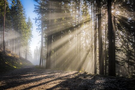 Sky sunrise rays photo