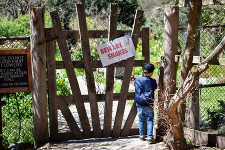 Wooden gate entrance boy