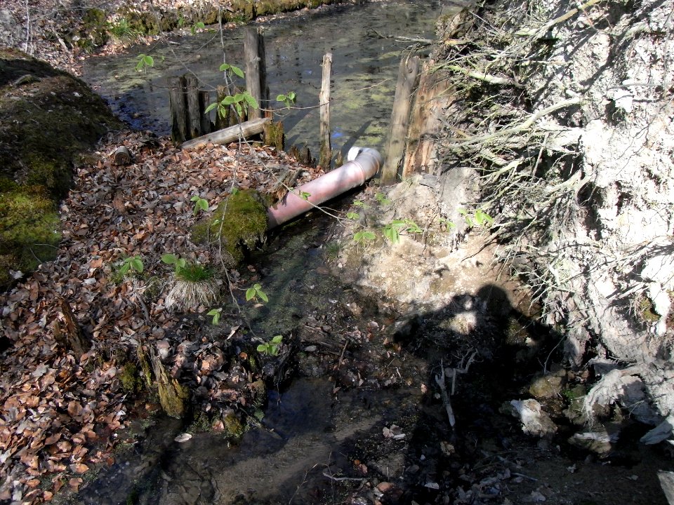 Holzbach letzter Teich Abfluss außen R0022141