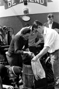 Hollandse Nieuwe 1963 uit de logger Katwijk 7 De Arend 113 kantjes nieuwe haring in IJmuiden, Bestanddeelnr 915-1922