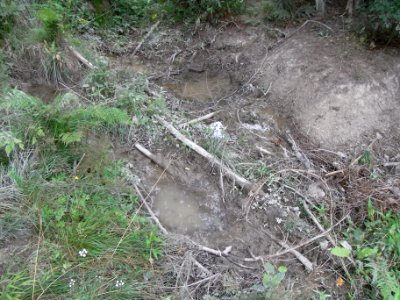 Holzbach 24848344 rechts Quelle Kahlschlag R0017544