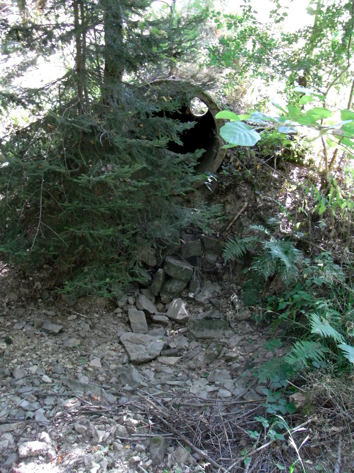 Holzbach dickes Rohr Pumpwerk aus R0017816