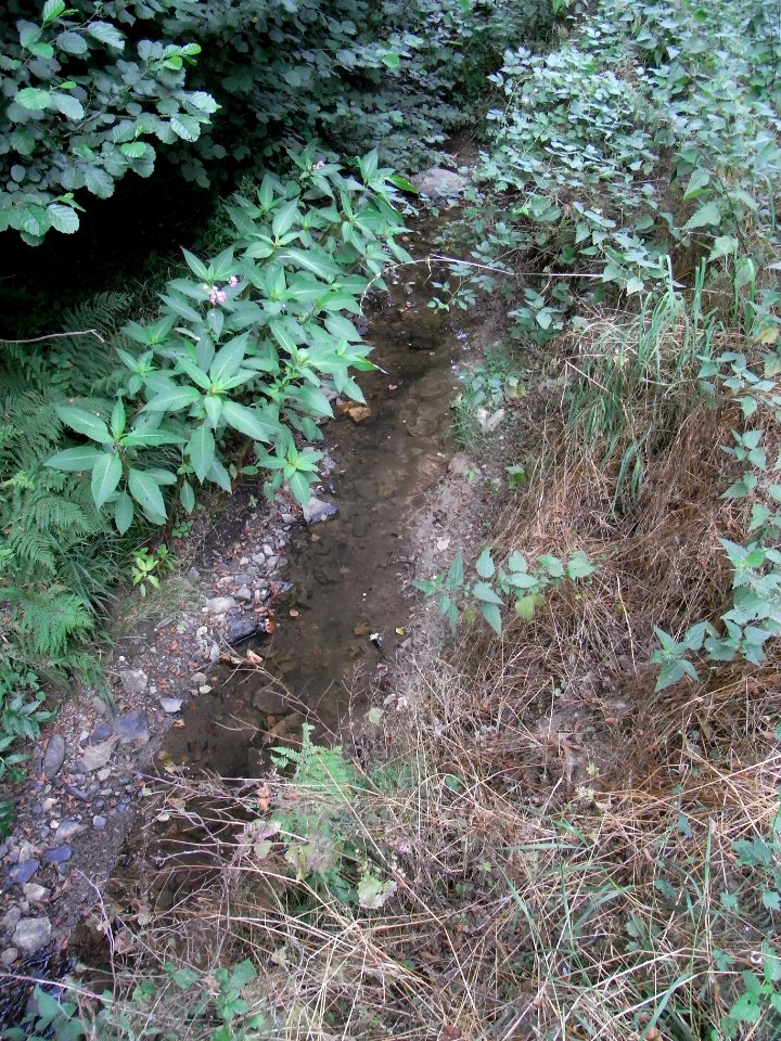 Holzbach an K 729 unter Holzbergacker nass R0017415