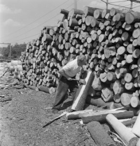 Houtopslagplaatsen, houtbewerking, arbeiders, Bestanddeelnr 251-7815