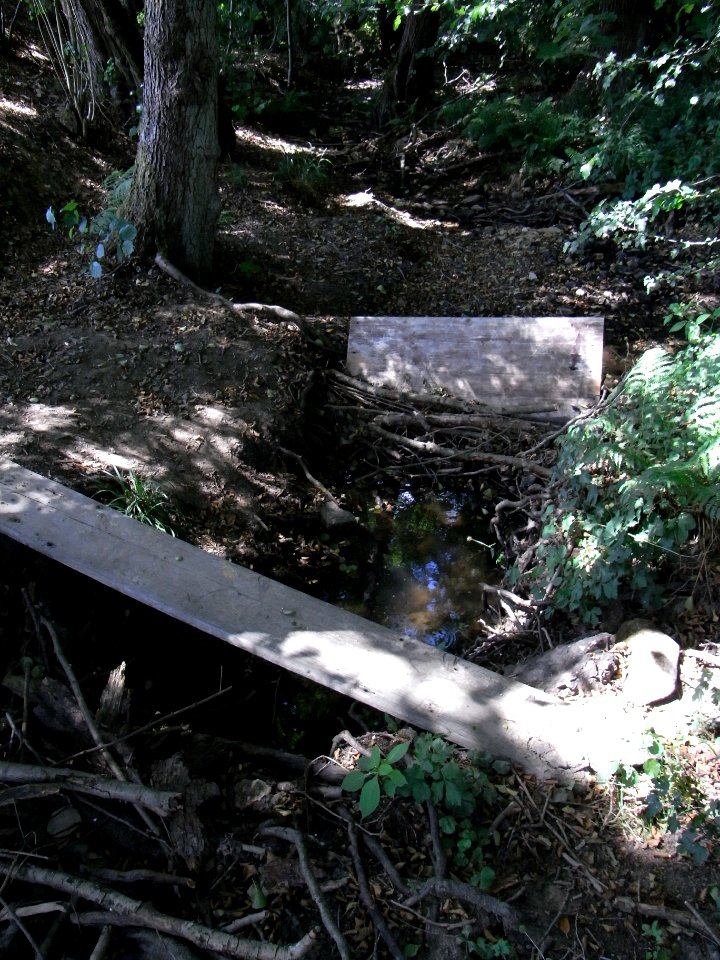 Holzbach Am Wasserfall R0017481
