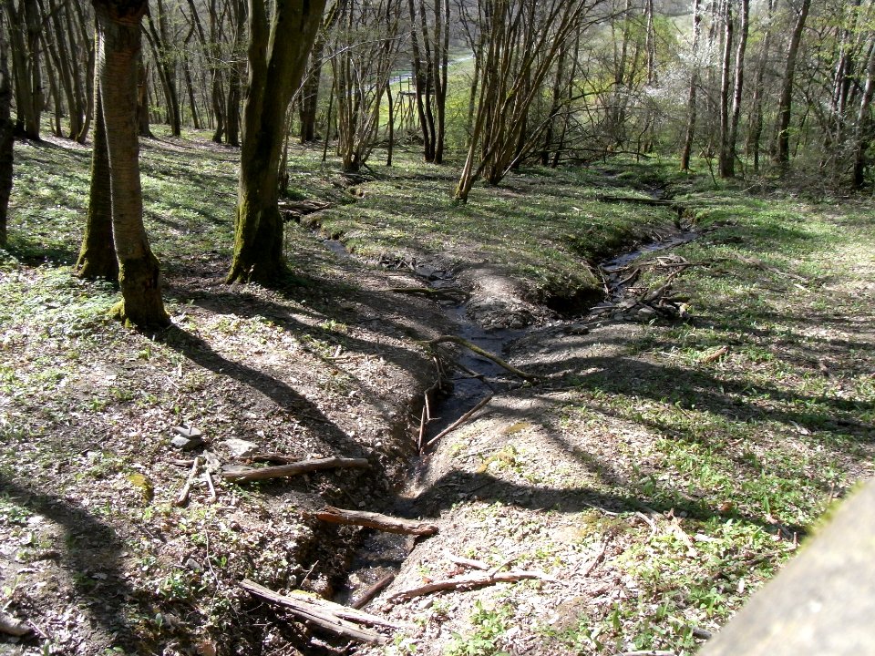 Holzbach letzter an Grenze zu OM Gabelung R0022049