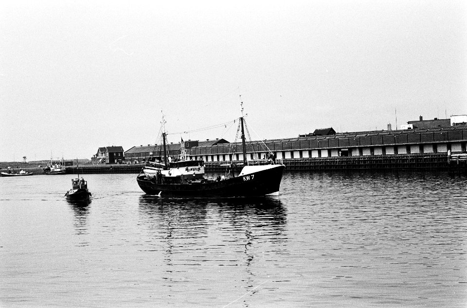 Hollandse Nieuwe 1963 uit de logger Katwijk 7 De Arend 113 kantjes nieuwe harin, Bestanddeelnr 915-1926