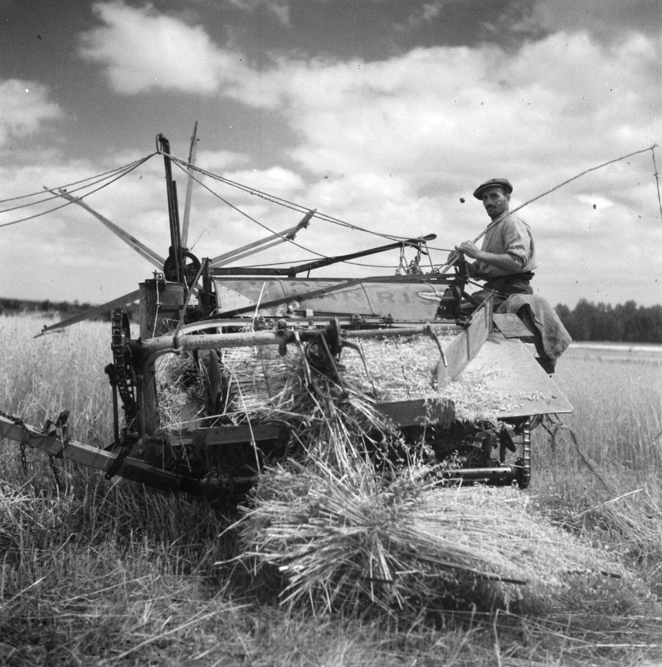 Hollandse boeren gaan in Frankrijk een bedrijf opzetten, Bestanddeelnr 900-5873