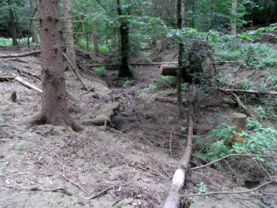 Holzbach 24848344 rechts R0017529