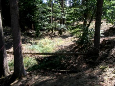 Holzbach ober Forsthausstraße R0018103