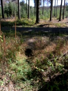 Holzbach 248483422 Durchlass Graben von Steinkopf abwärts R0019007