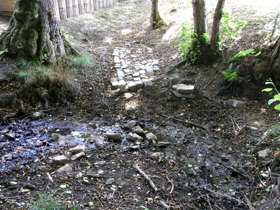 Holzbach Mündung Graben von Sport R0017482