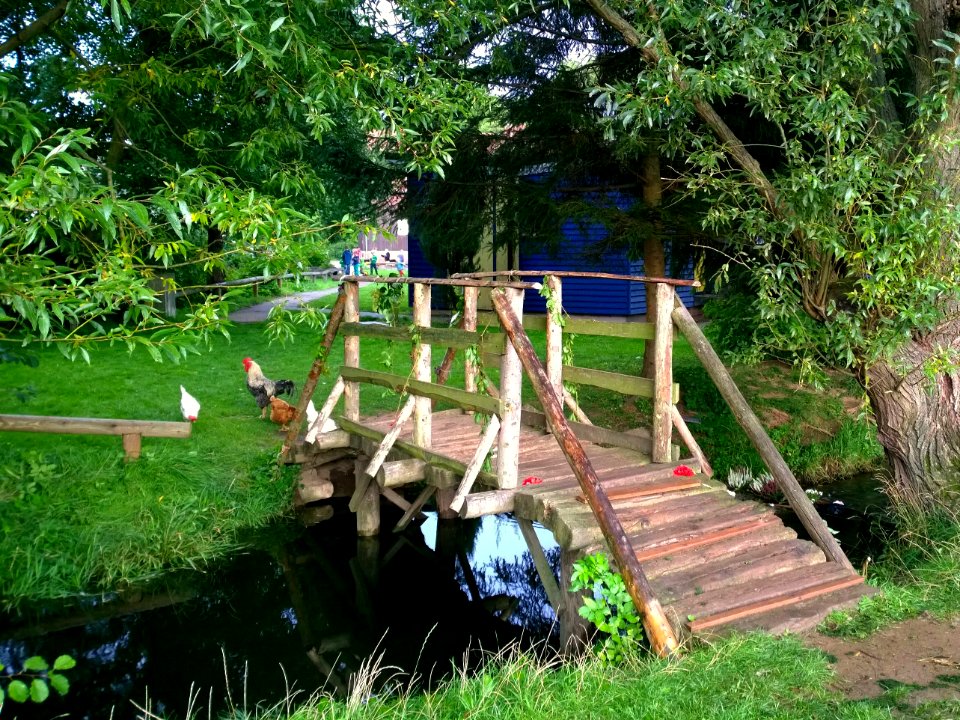 Holzbrücke 09-15