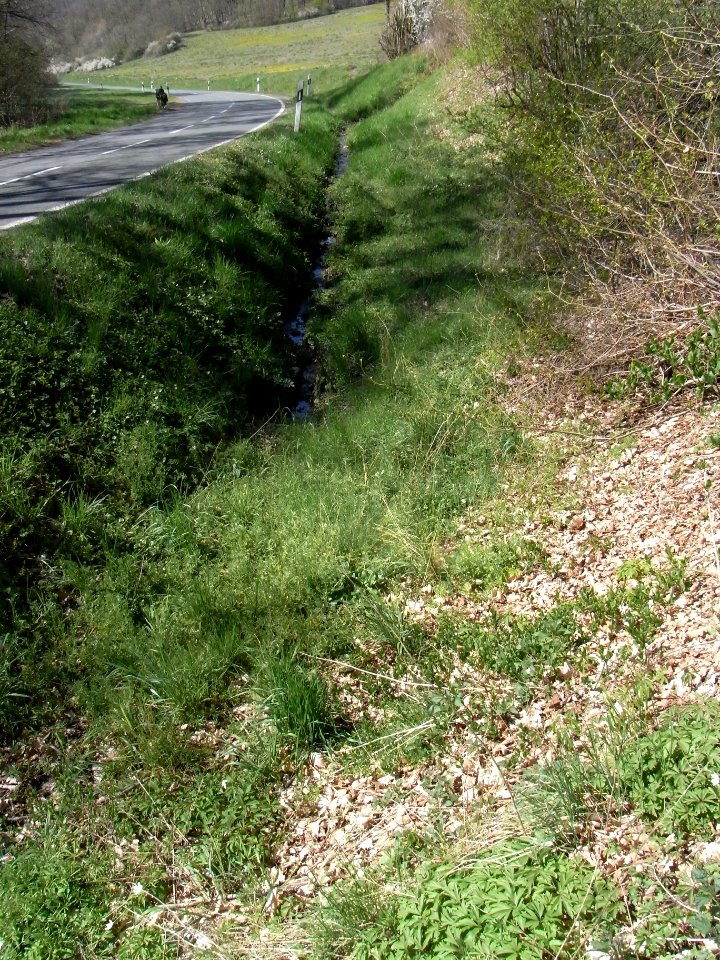 Holzbach letzter an K 729 R0022038