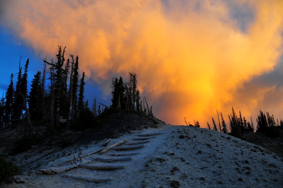 Trail outdoors nature