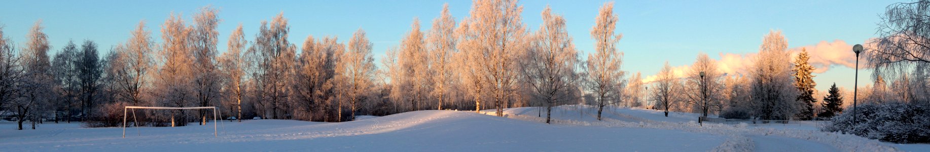 Hollihaka Park Oulu 20130112