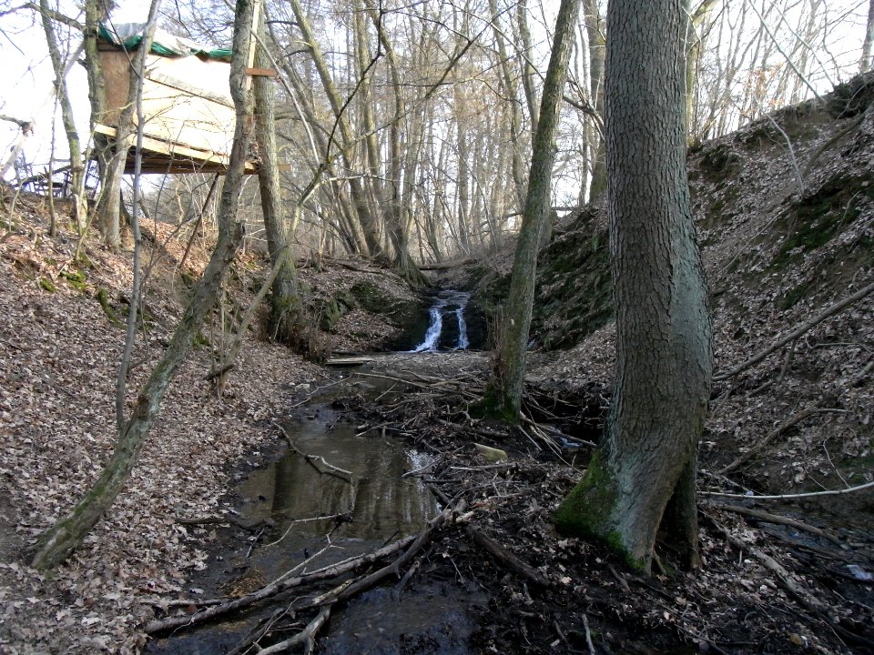 Holzbach Wasserfall R0021327