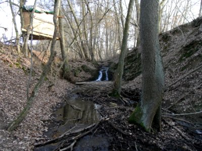 Holzbach Wasserfall R0021327