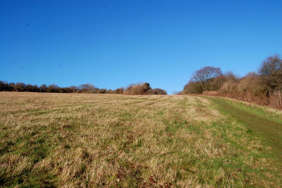 Hollingbury Hill, Brighton (February 2020) (8)