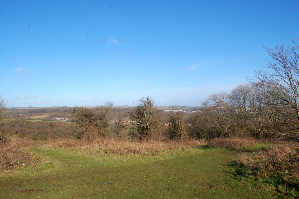 Hollingbury Hill, Brighton (February 2020) (7)